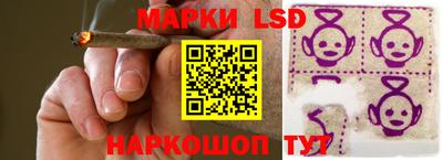шишки Берёзовский